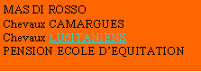 Zone de Texte: MAS DI ROSSOChevaux CAMARGUES Chevaux LUSITANIENSPENSION ECOLE DEQUITATION